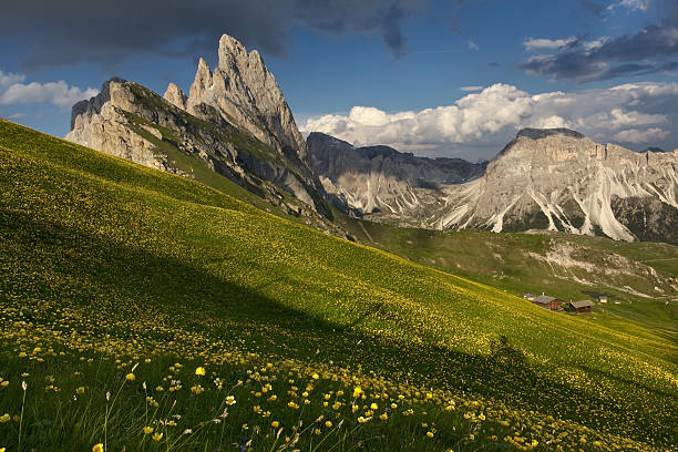 istock Dolomiti Odle from Seceda summer with flowers 186109401