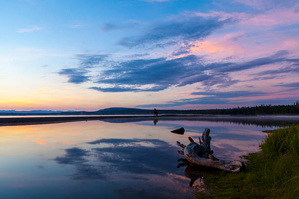 istock Yellowstone National Park 186110280