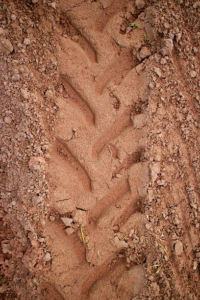 istock Tractor trail closeup on the muddy ground after rain 186110550