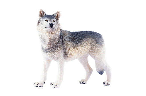 Toy of a wolf on white background