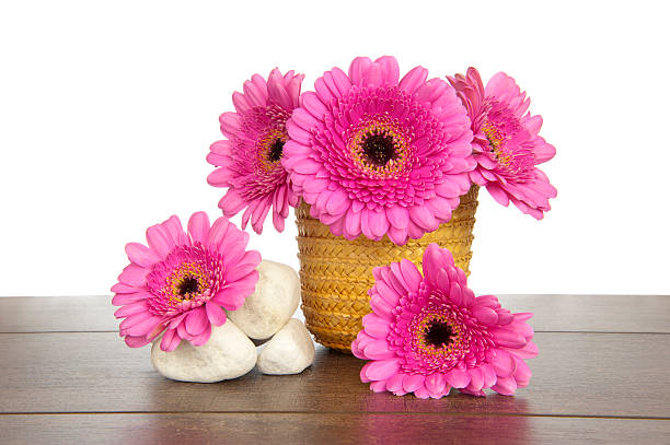 istock Pink Gerbera in yellow basket and white stones 186111242