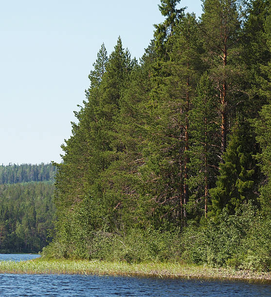 istock shore of Lake 186111287