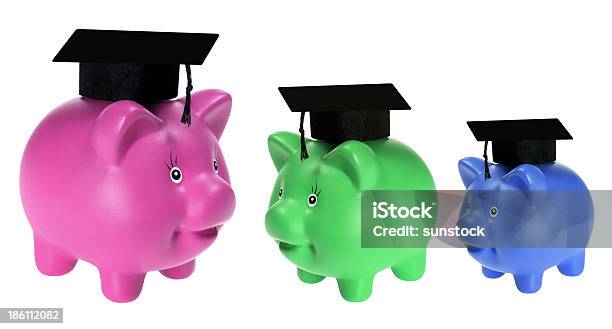 Porcellino Salvadanaio Con Mortarboards Banche - Fotografie stock e altre immagini di Aspirazione - Aspirazione, Cappello, Celebrazione della laurea