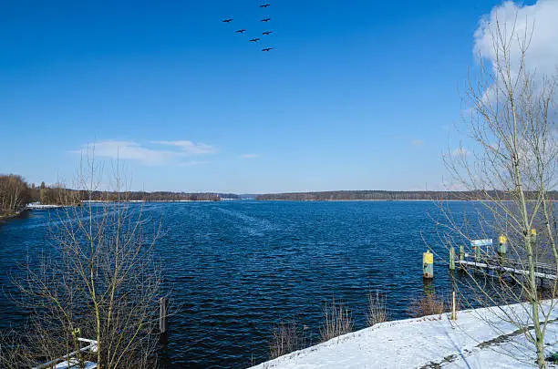 Flying birds over winter lake or river water surface and snowy shore with pier
