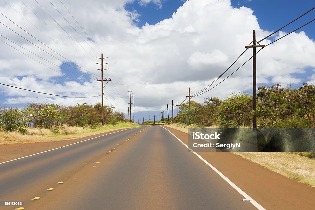 Road auf der Insel Kauai - Lizenzfrei Baum Stock-Foto