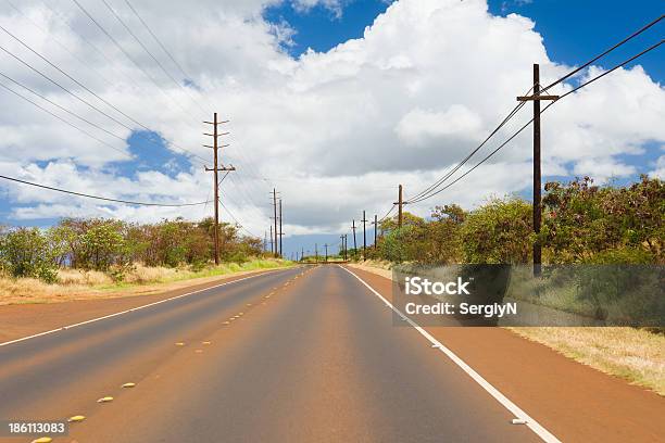 Road Auf Der Insel Kauai Stockfoto und mehr Bilder von Baum - Baum, Bildhintergrund, Fotografie