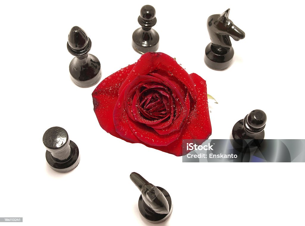 Rose e xadrez - Foto de stock de Adulto royalty-free