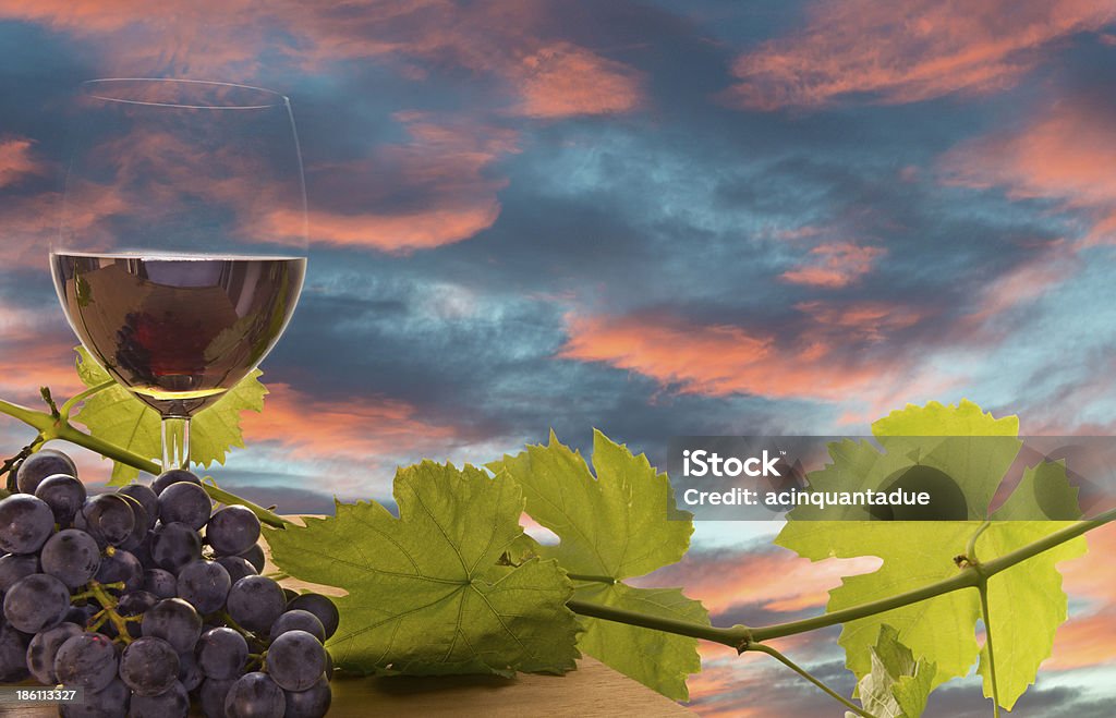 Wine, grape and grapevine at sunset Still life of wine, grape, and grapevine on wood table at sunset, wine making concept Agriculture Stock Photo