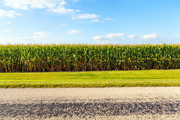 istock American Country Road Side View 186113542