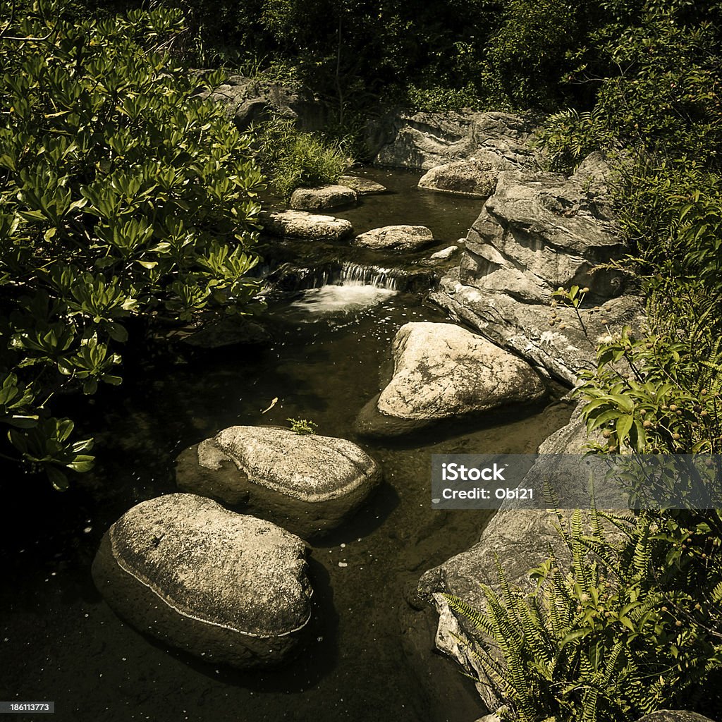Río que fluye entre forcks en el bosque - Foto de stock de 2000-2009 libre de derechos