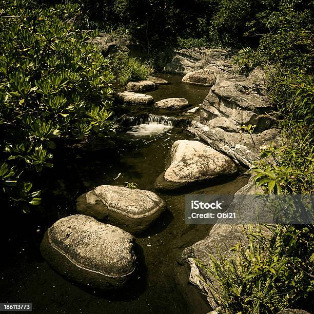 Río Que Fluye Entre Forcks En El Bosque Foto de stock y más banco de imágenes de 2000-2009 - 2000-2009, Aire libre, Azul