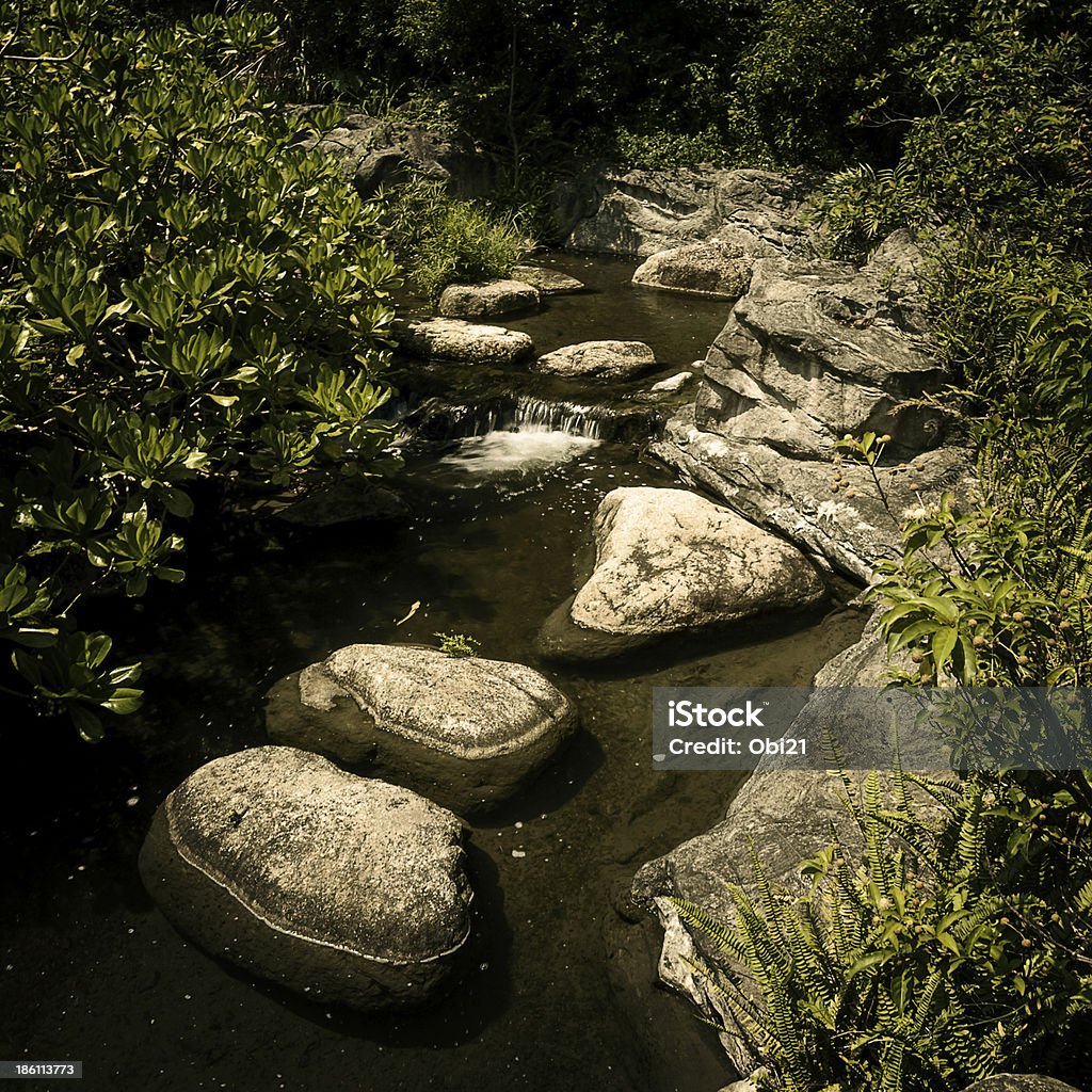 River Course entre forcks dans la forêt. - Photo de 2000-2009 libre de droits