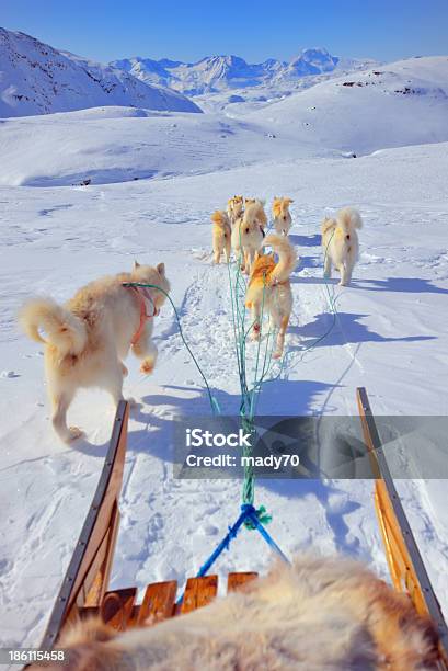 Cão Sledging - Fotografias de stock e mais imagens de Gronelândia - Gronelândia, Aldeia, América do Norte