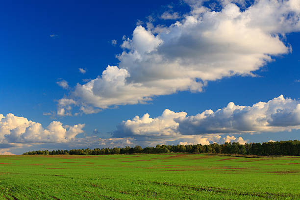 Bell campo - foto stock