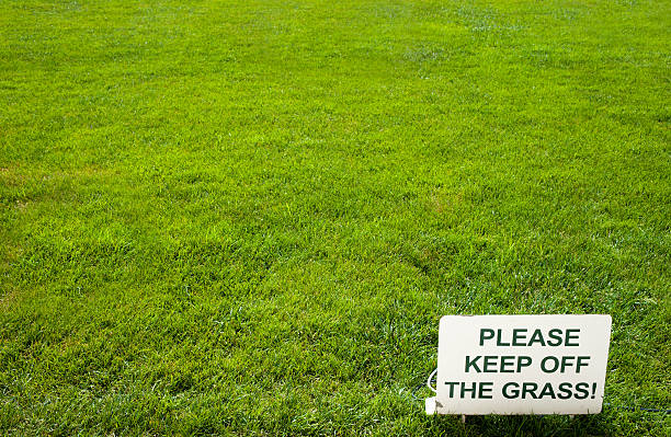 istock Please keep of the grass sign on green lawn 186117399