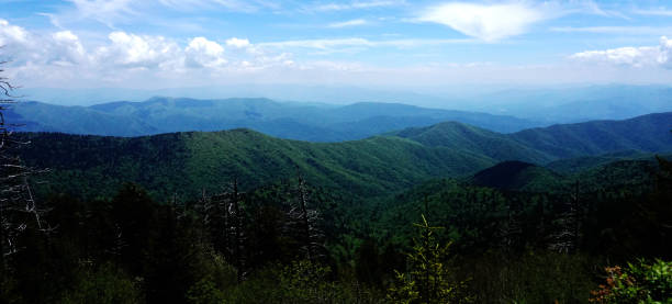 spektakularny widok w parku narodowym great smoky mountains. kopuła clingmansa. tennessee. góry blue ridge, karolina północna. szlaki appalachów. piesze wycieczki. asheville. wirginia zachodnia. - great smoky mountains tennessee mountain north carolina zdjęcia i obrazy z banku zdjęć