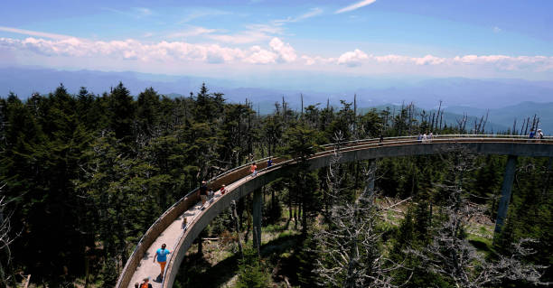 spectacular view in great smoky mountains national park. clingmans dome. tennessee. blue ridge mountains, north carolina. appalachian trails. hiking. asheville. west virginia. - tennessee great smoky mountains great smoky mountains national park north carolina imagens e fotografias de stock