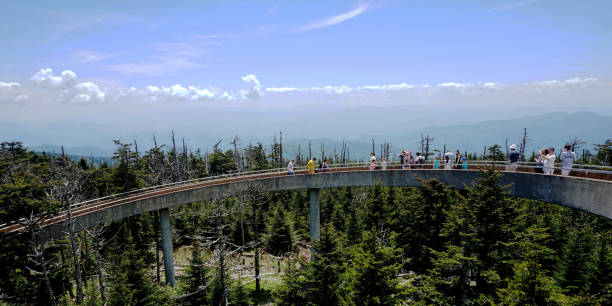 spectacular view in great smoky mountains national park. clingmans dome. tennessee. blue ridge mountains, north carolina. appalachian trails. hiking. asheville. west virginia. - tennessee great smoky mountains great smoky mountains national park north carolina imagens e fotografias de stock