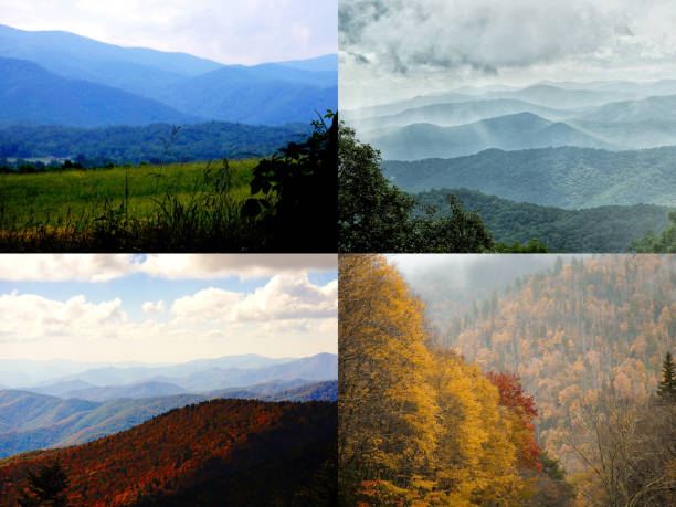 spektakularny widok w parku narodowym great smoky mountains. kopuła clingmansa. tennessee. góry blue ridge, karolina północna. szlaki appalachów. piesze wycieczki. asheville. wirginia zachodnia. - great smoky mountains tennessee mountain north carolina zdjęcia i obrazy z banku zdjęć