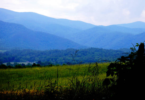 spektakularny widok w parku narodowym great smoky mountains. kopuła clingmansa. tennessee. góry blue ridge, karolina północna. szlaki appalachów. piesze wycieczki. asheville. wirginia zachodnia. - great smoky mountains tennessee mountain north carolina zdjęcia i obrazy z banku zdjęć