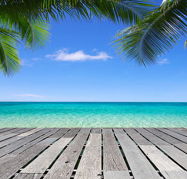 istock beach and tropical sea 186121260