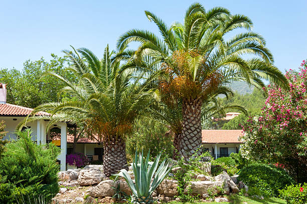 istock Resort hotel with a palm garden. Turkey 186121376