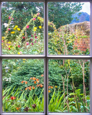 Cottage Garden in Full  bloom through an old sash window