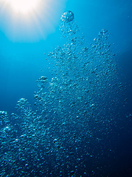 istock Bubbles from a scuba diver in the ocean 186122260