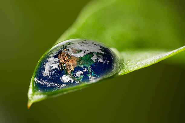 istock leaf with rain drop - Recovery earth concept 186122377