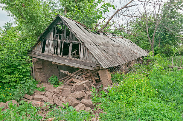 istock Old disturbed dry dung barn among wild tall weeds 186122743