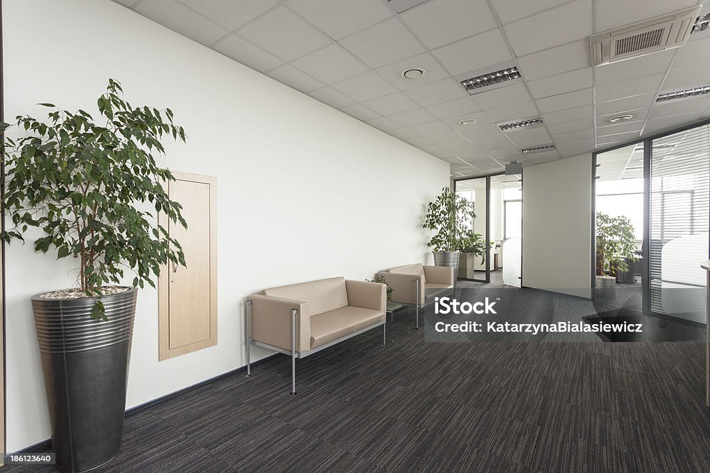 A large office area with modern interior design and couches  Interior of a modern office, corridor with two sofa Bank - Financial Building Stock Photo