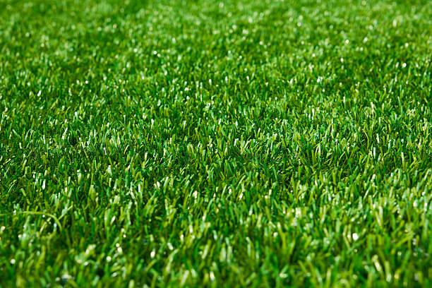 kunstrasen geringe tiefenschärfe hintergrund - soccer soccer field grass american football stock-fotos und bilder