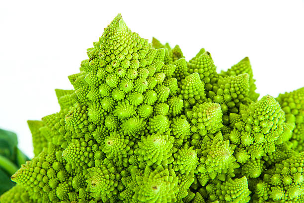 brassica oleracea/broccoli roman cavolfiore romanesco - romanesque broccoli cauliflower cabbage foto e immagini stock
