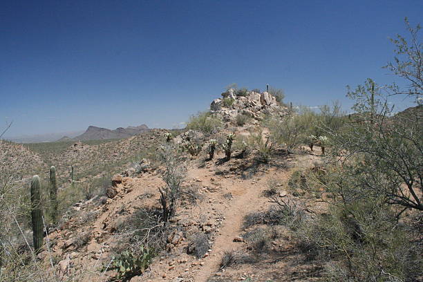 istock Trail in Arizona Desert 186124204