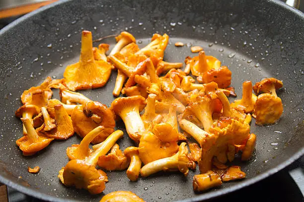 Fry chanterelles in a pan