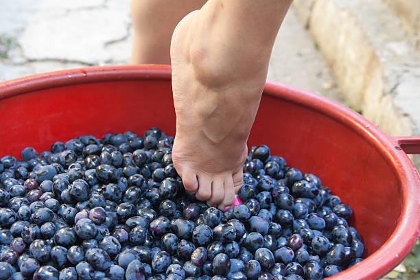 Female feet crushing grapes to make wine stock photo