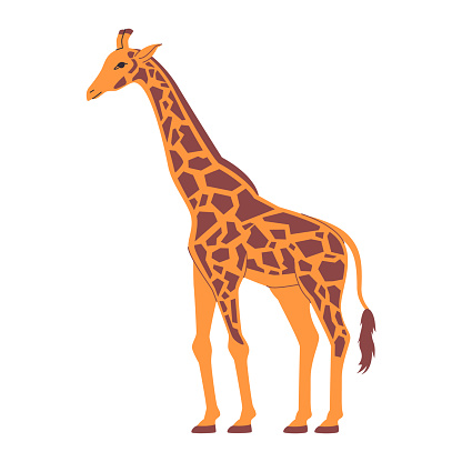 yellow and spotted brown color giraffe wild nature animal mammal herbivore creature have long neck vector