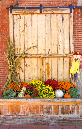 background of thanksgiving decoration with wood door and pumpkin