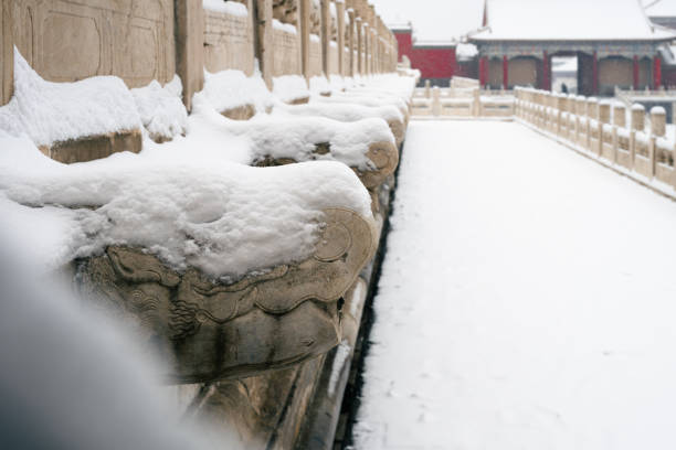Forbidden city snow