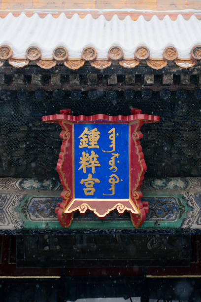 istock Forbidden city snow 1861280561