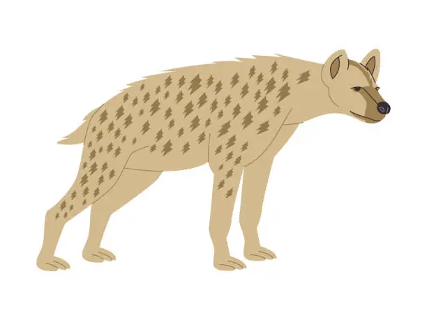 Vector illustration of brown color hyena wild nature scavenger animal dangerous carnivore predator creature