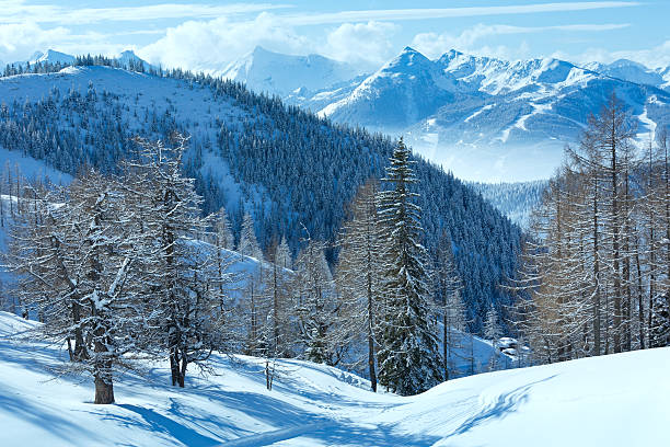 istock Winter forest near Dachstein mountain massif 186128367