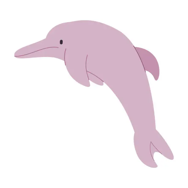 Vector illustration of pink color river dolphin cute adorable friendly mammal animal with jump pose beautiful creature