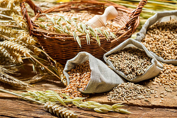 istock Different types of cereal grains with ears 186129780