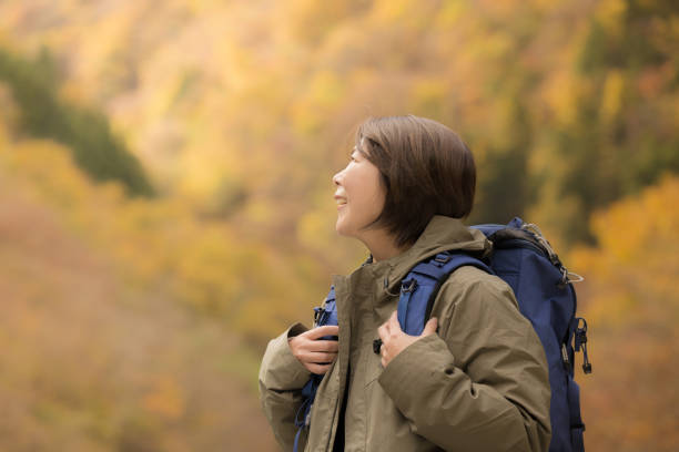 mujer escalando una montaña en hojas de otoño - travel destinations mountain hiking profile fotografías e imágenes de stock