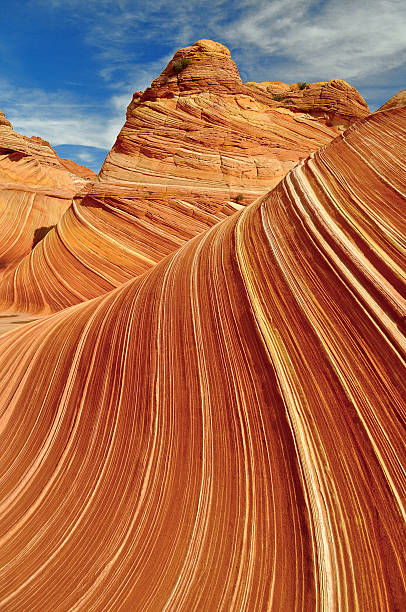 Beautiful Wave Rock Formation «The Wave» Coyote Buttes, Arizona the wave arizona stock pictures, royalty-free photos & images