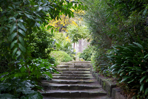 Garden walkway with green foliage and stairway facing upward.