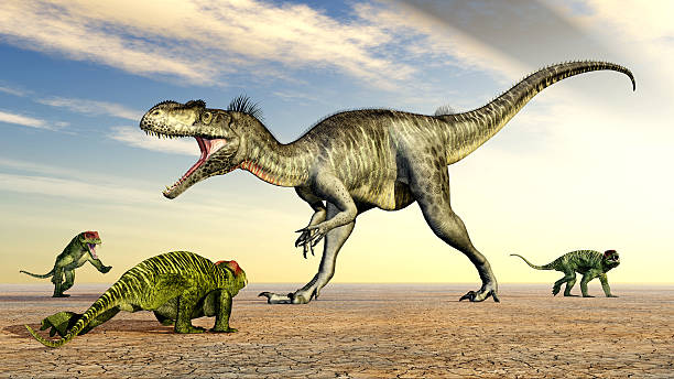 megalosaurus et doliosauriscus - hugely photos et images de collection