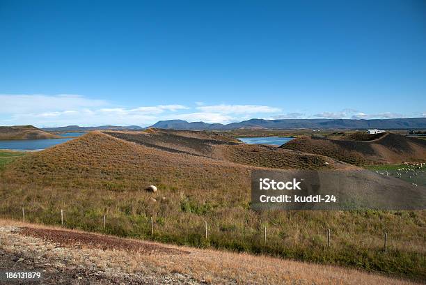 Island Pseudokrater Am Myvatnsee Stock Photo - Download Image Now - Blue, Bush, Cone Shape