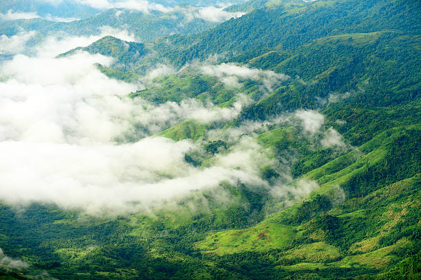Fog and cloud on the mountain landscape, Phetchaboon,Thailand stock photo